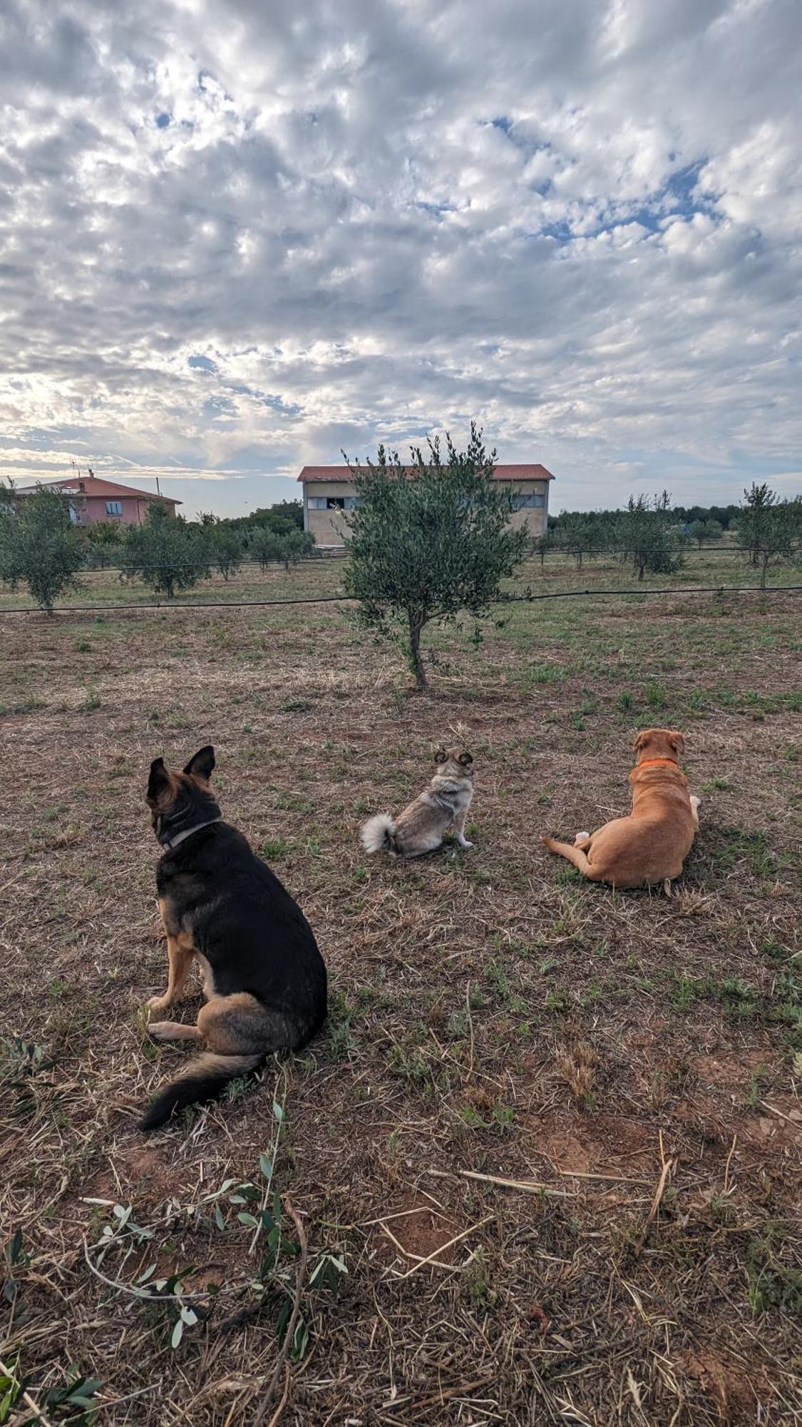 Casa Rurale San Vincenzo Dış mekan fotoğraf