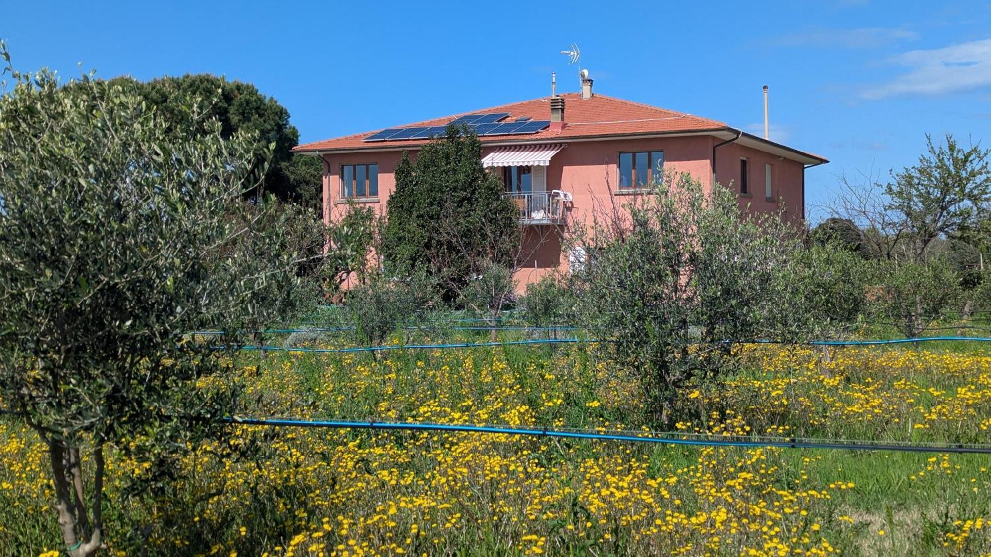 Casa Rurale San Vincenzo Dış mekan fotoğraf